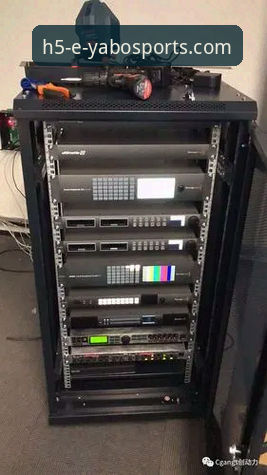 亚博体育平台2024版对比评测最新动态：多端接入方案与用户体验深度解析